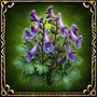 https://hope.1100ad.com/images/unit/hero/artefacts/a1/a1_corydalis.jpg