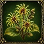 https://hope.1100ad.com/images/unit/hero/artefacts/a1/a1_witch_hazel.jpg