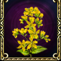 https://hope.1100ad.com/images/unit/hero/artefacts/a5/a5_stjohn_wort.jpg